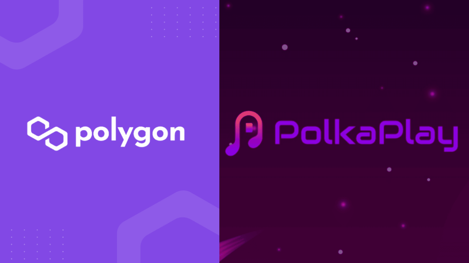 OneRare X Polygon - Crypto Daily | Your Daily Source for ...
