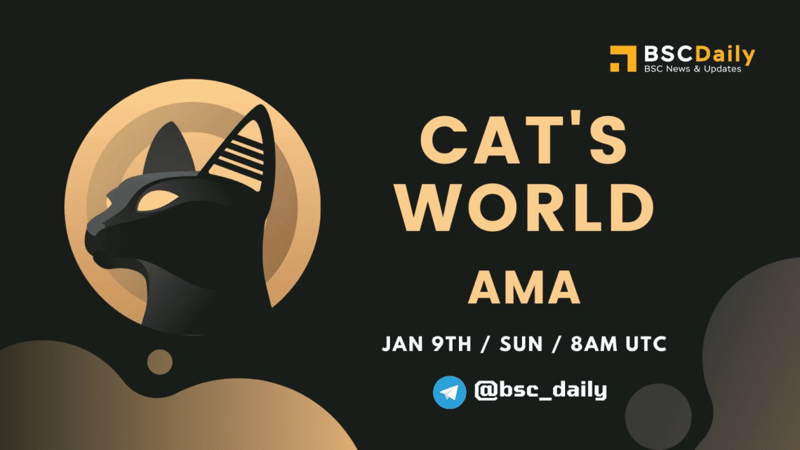 Cat's World AMA